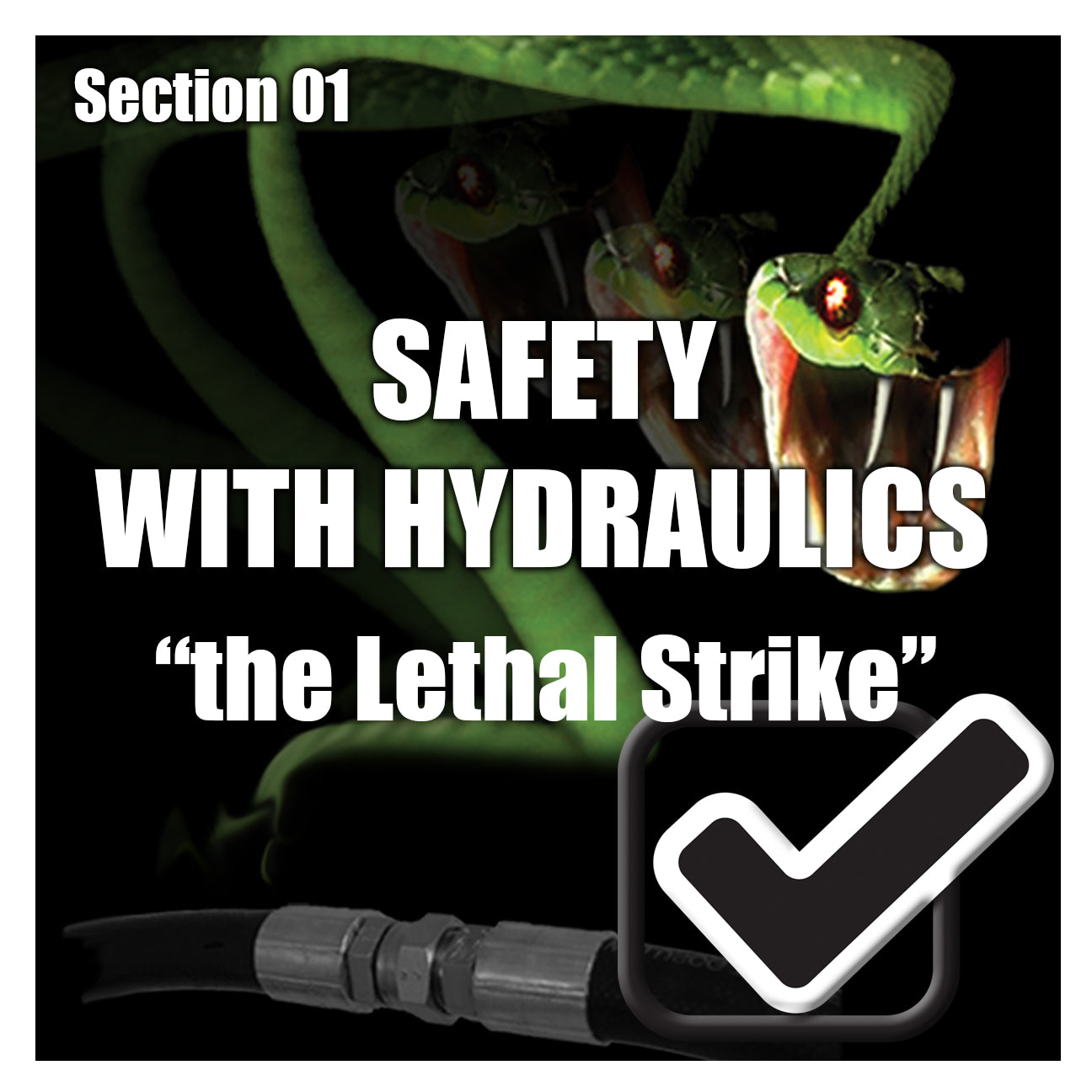 PH Section 01 - Safety ( with the Lethal Strike) Re-Test
