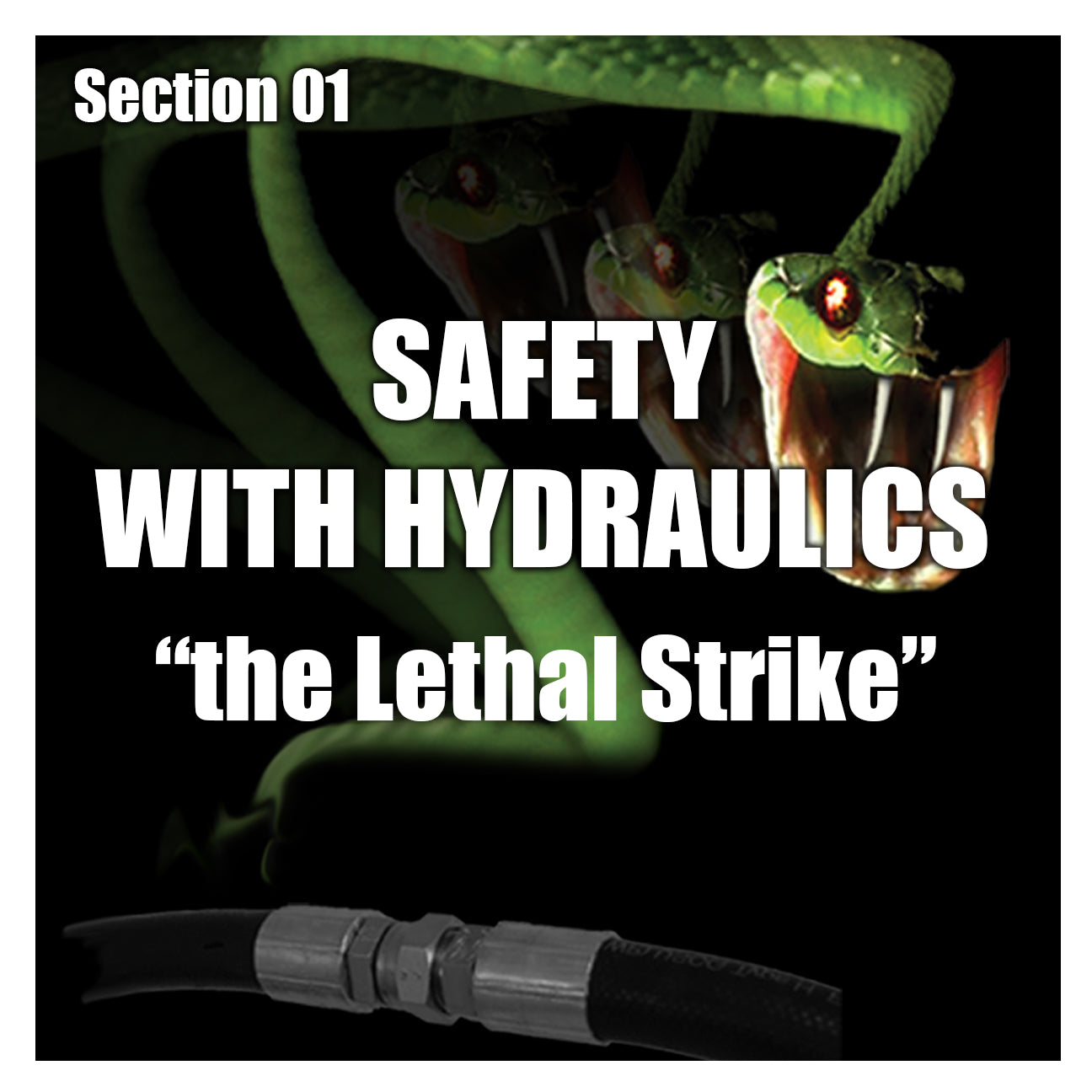 Safety with Hydraulics "the Lethal Strike"